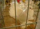 DSCN0328