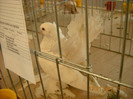 DSCN0330