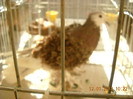 DSCN0333