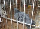 DSCN0334