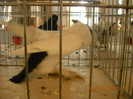 DSCN0339