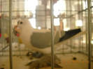 DSCN0341