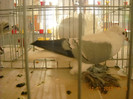 DSCN0342