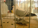 DSCN0343
