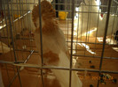 DSCN0345