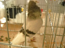 DSCN0346