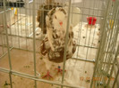 DSCN0349