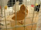 DSCN0350