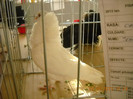 DSCN0351