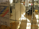 DSCN0352