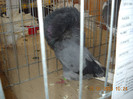 DSCN0356