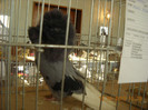 DSCN0357