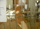 DSCN0363