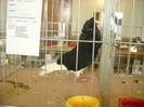 DSCN0366
