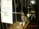 DSCN0369