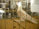 DSCN0371