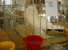DSCN0375