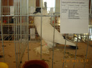 DSCN0376