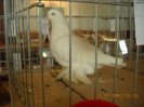 DSCN0383