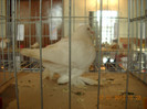 DSCN0385
