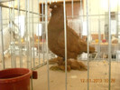 DSCN0386