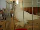 DSCN0387