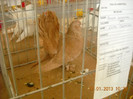 DSCN0391
