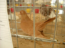 DSCN0396