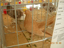DSCN0397