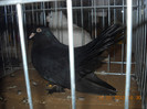 DSCN0398