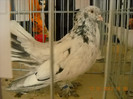 DSCN0401