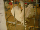 DSCN0403
