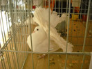 DSCN0404
