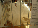 DSCN0405