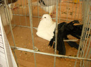 DSCN0407