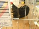 DSCN0413