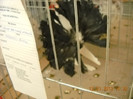 DSCN0416