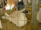 DSCN0417