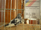 DSCN0421
