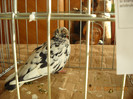 DSCN0422