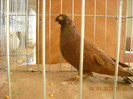 DSCN0425