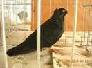 DSCN0426