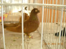 DSCN0428
