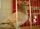 DSCN0431