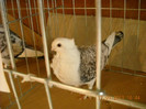 DSCN0437