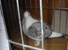 DSCN0438