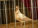 DSCN0441