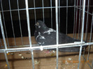 DSCN0443