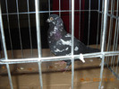 DSCN0444