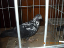 DSCN0446